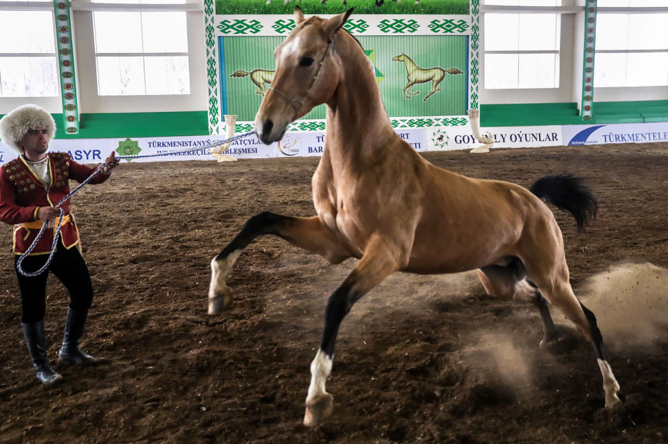 Four photo pictures from Turkmenistan were included in the virtual photo exposition of the joint project to the 30th anniversary of CIS