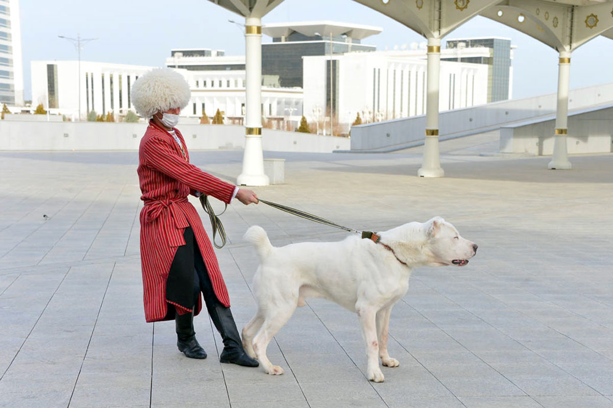 Aşgabatda mowzuklaýyn halkara ylmy-amaly maslahat we sergi geçirilýär