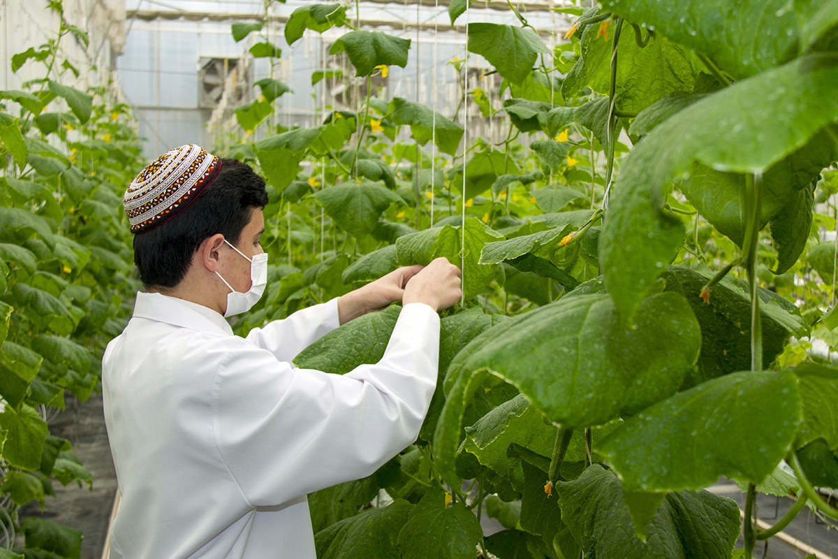 S.A. Nyýazow adyndaky Türkmen oba hojalyk uniwersitetinde ylmy duşuşyk geçirildi