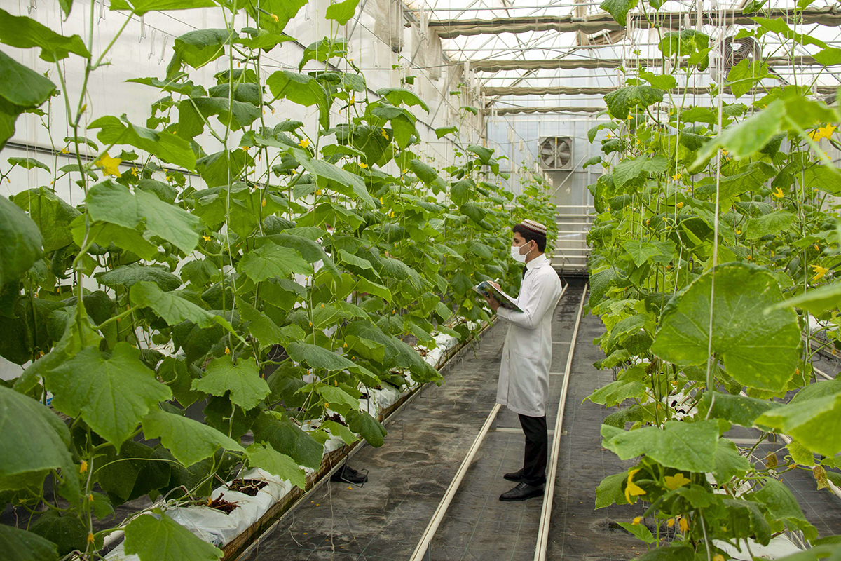 S.A. Nyýazow adyndaky Türkmen oba hojalyk uniwersitetinde ylmy duşuşyk geçirildi