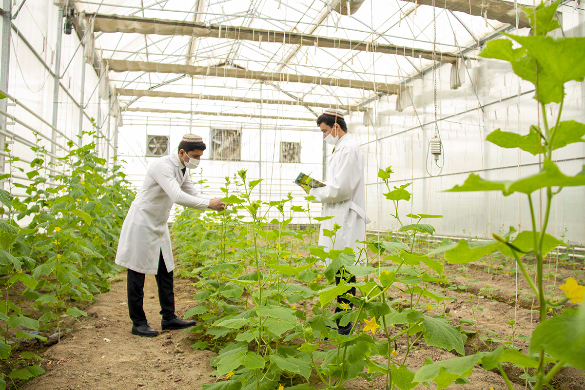 S.A. Nyýazow adyndaky Türkmen oba hojalyk uniwersitetinde ylmy duşuşyk geçirildi