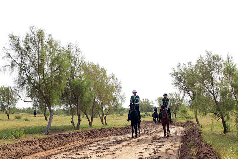 Bedew baýramyna bagyşlanan atly ýöriş