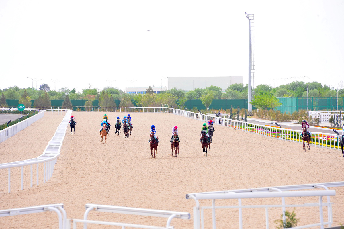 Balkan atçylyk sport toplumyndaky baýramçylyk at çapyşyklary