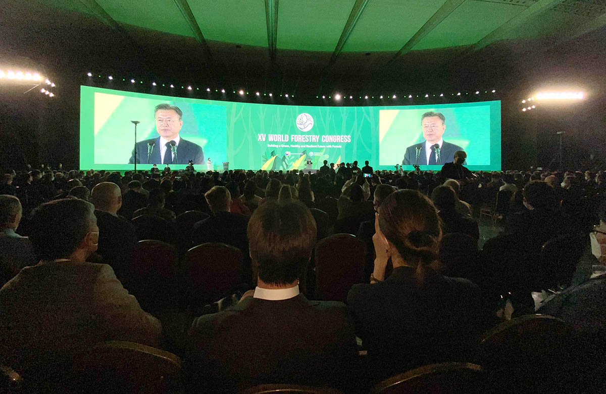 Делегация Туркменистана приняла участие в XV Всемирном лесном конгрессе в Сеуле