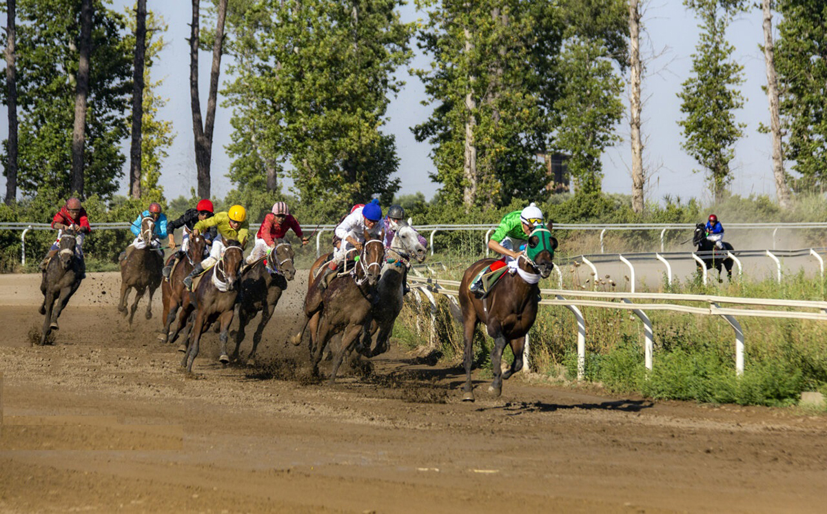 Руководители дипломатических ведомств Туркменистана в Иране посетили провинцию Голестан
