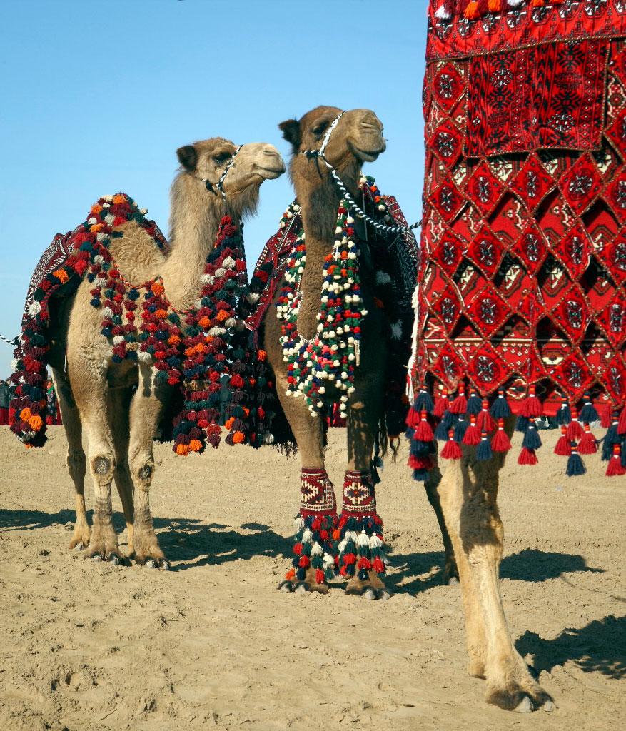 Золотая медаль фотохудожника из Туркменистана