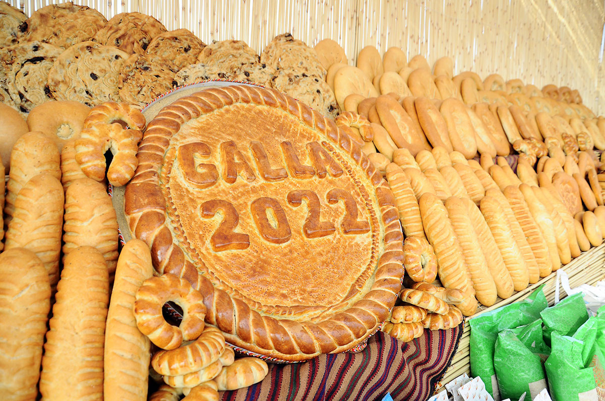 Grain growers of Dashoguz and Balkan velayats took over the braid relay