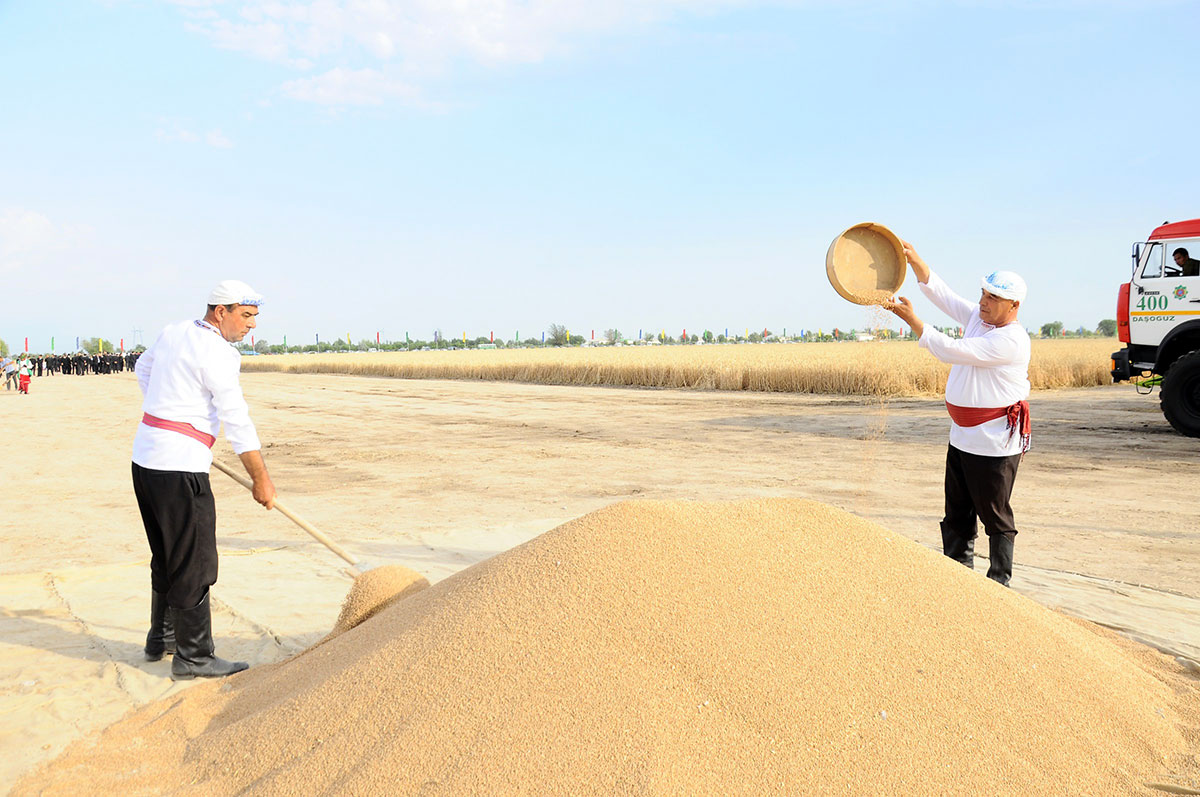 Grain growers of Dashoguz and Balkan velayats took over the braid relay