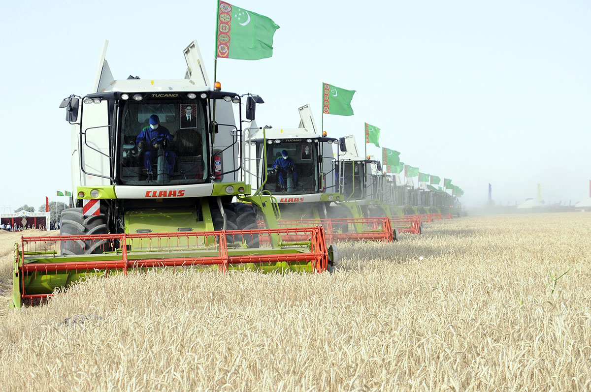 Grain growers of Dashoguz and Balkan velayats took over the braid relay