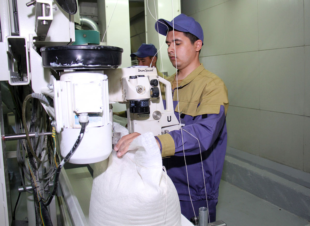 Grain growers of Dashoguz and Balkan velayats took over the braid relay