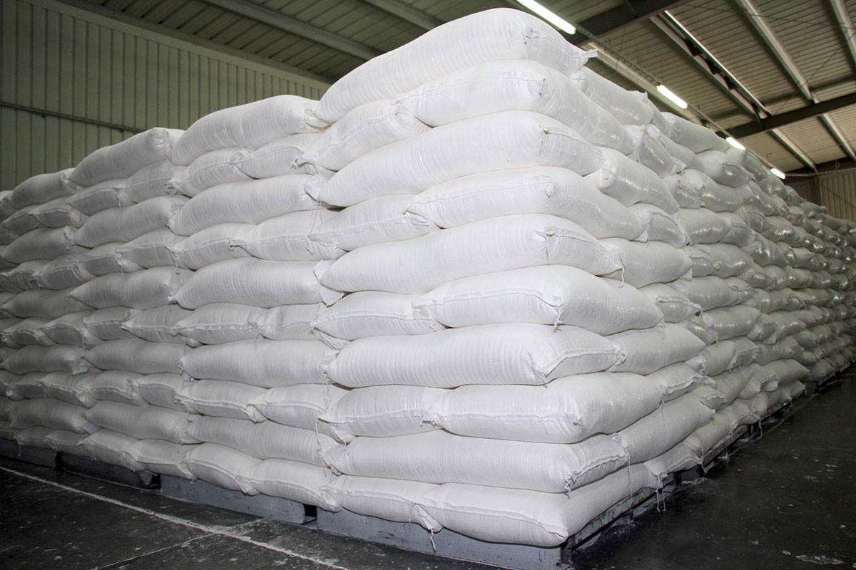 Grain growers of Dashoguz and Balkan velayats took over the braid relay