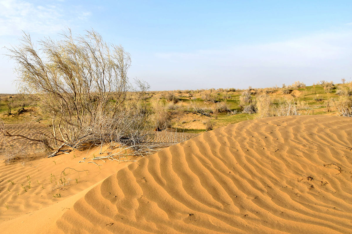 Красота пустынь и проблема опустынивания