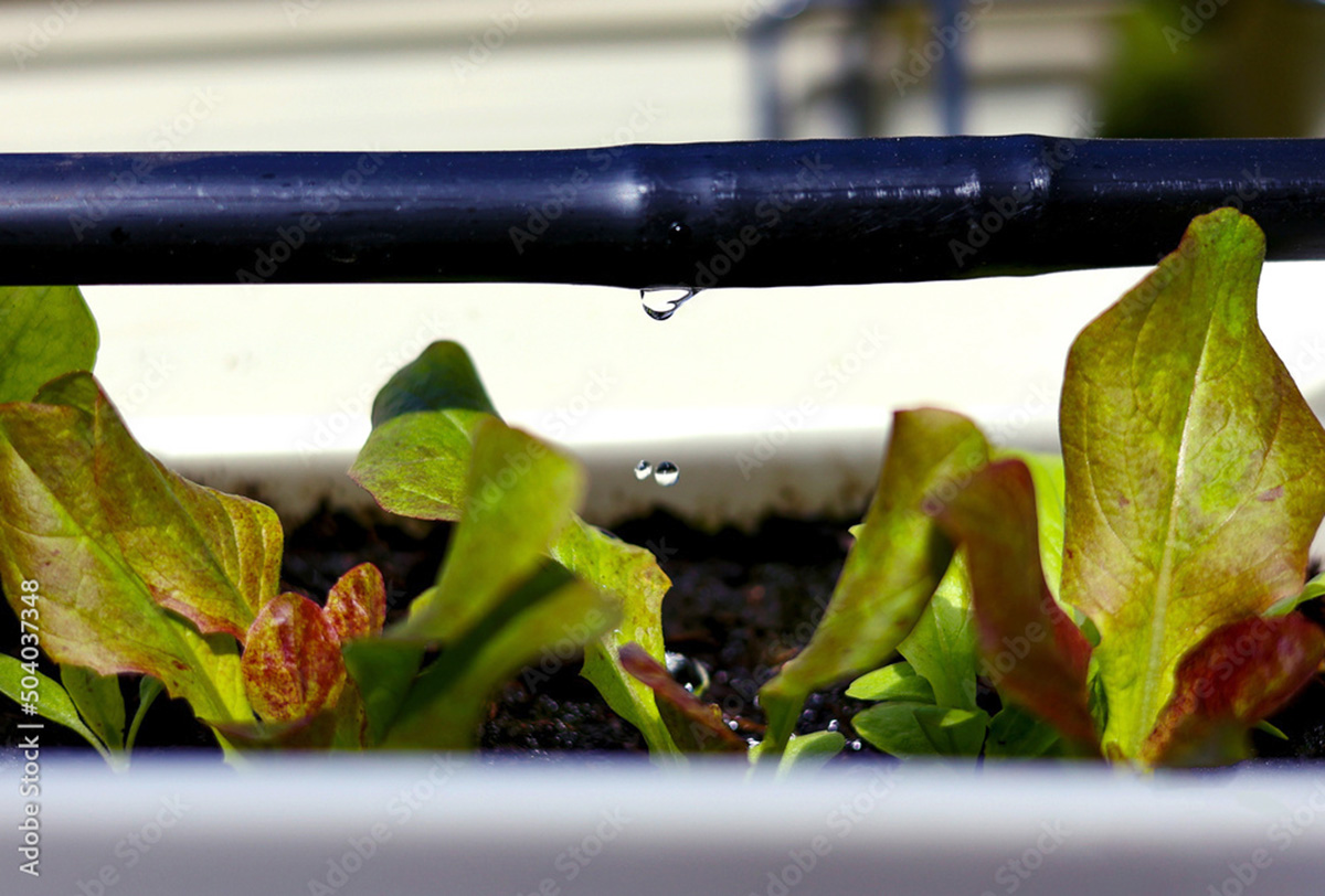 Actual technologies - for the needs of agricultural technology