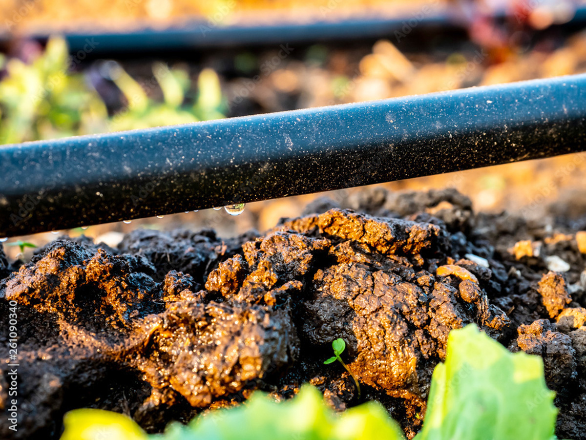 Actual technologies - for the needs of agricultural technology