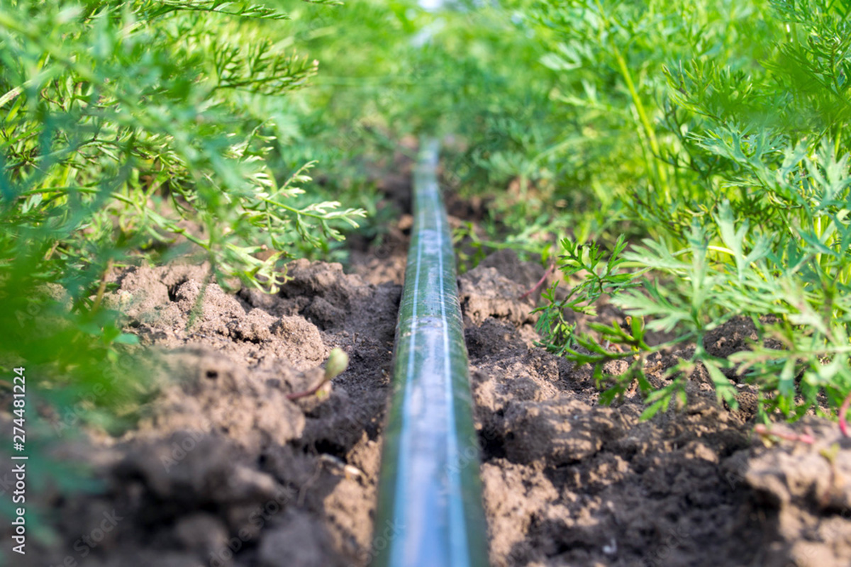 Actual technologies - for the needs of agricultural technology