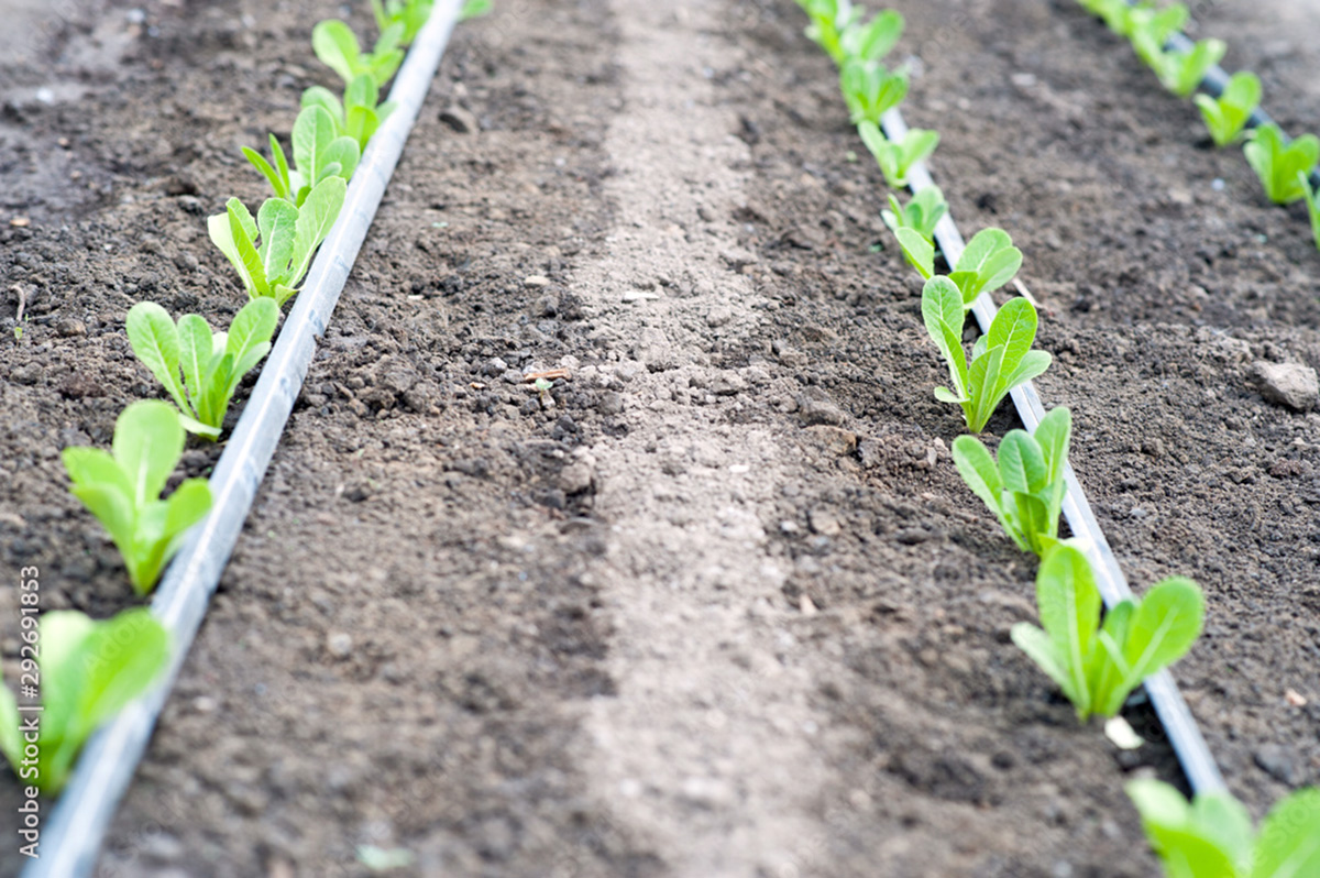 Actual technologies - for the needs of agricultural technology