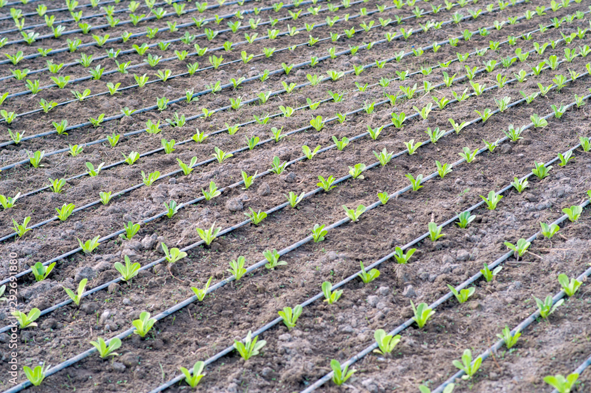 Actual technologies - for the needs of agricultural technology