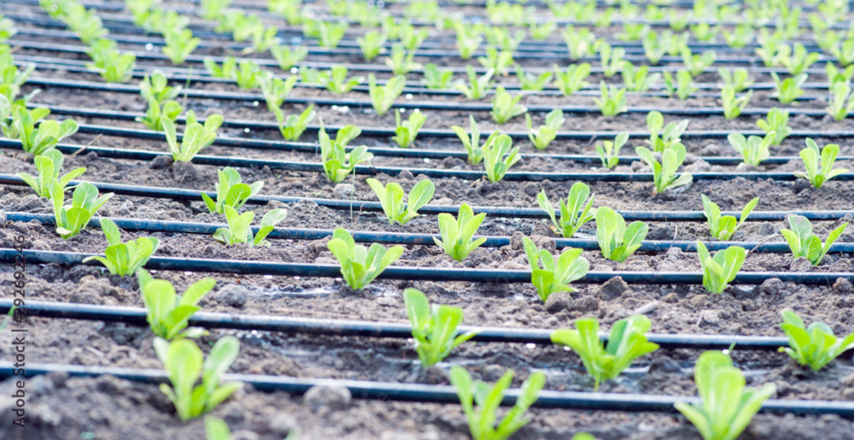 Actual technologies - for the needs of agricultural technology