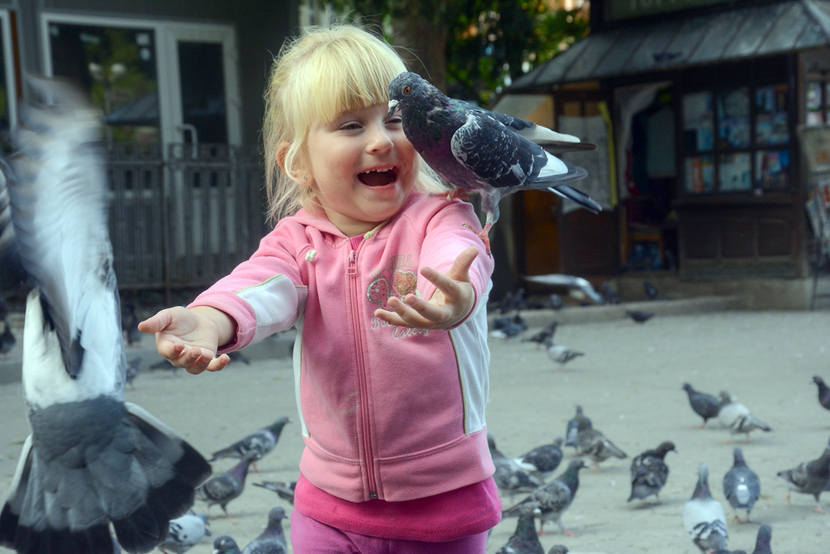 19 августа – Всемирный День фотографии