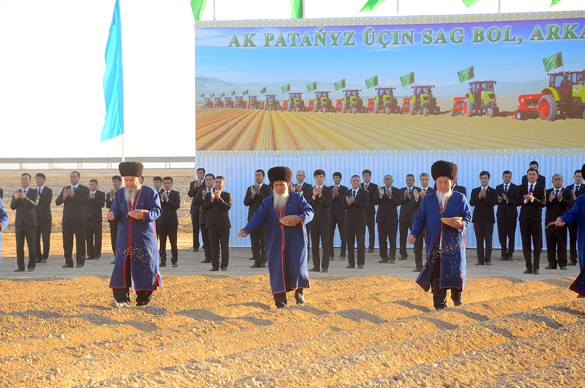 Sowing of winter wheat started in Turkmenistan