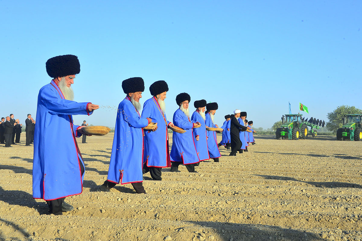 Sowing of winter wheat started in Turkmenistan