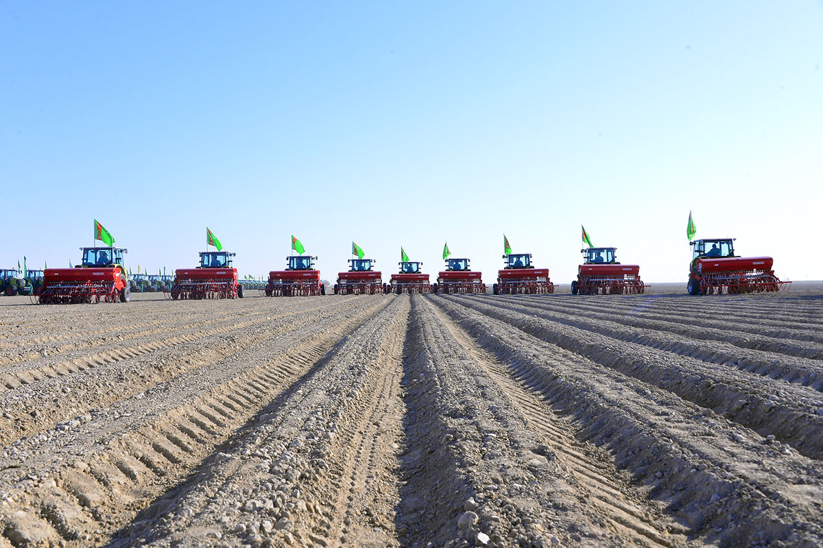 Sowing of winter wheat started in Turkmenistan