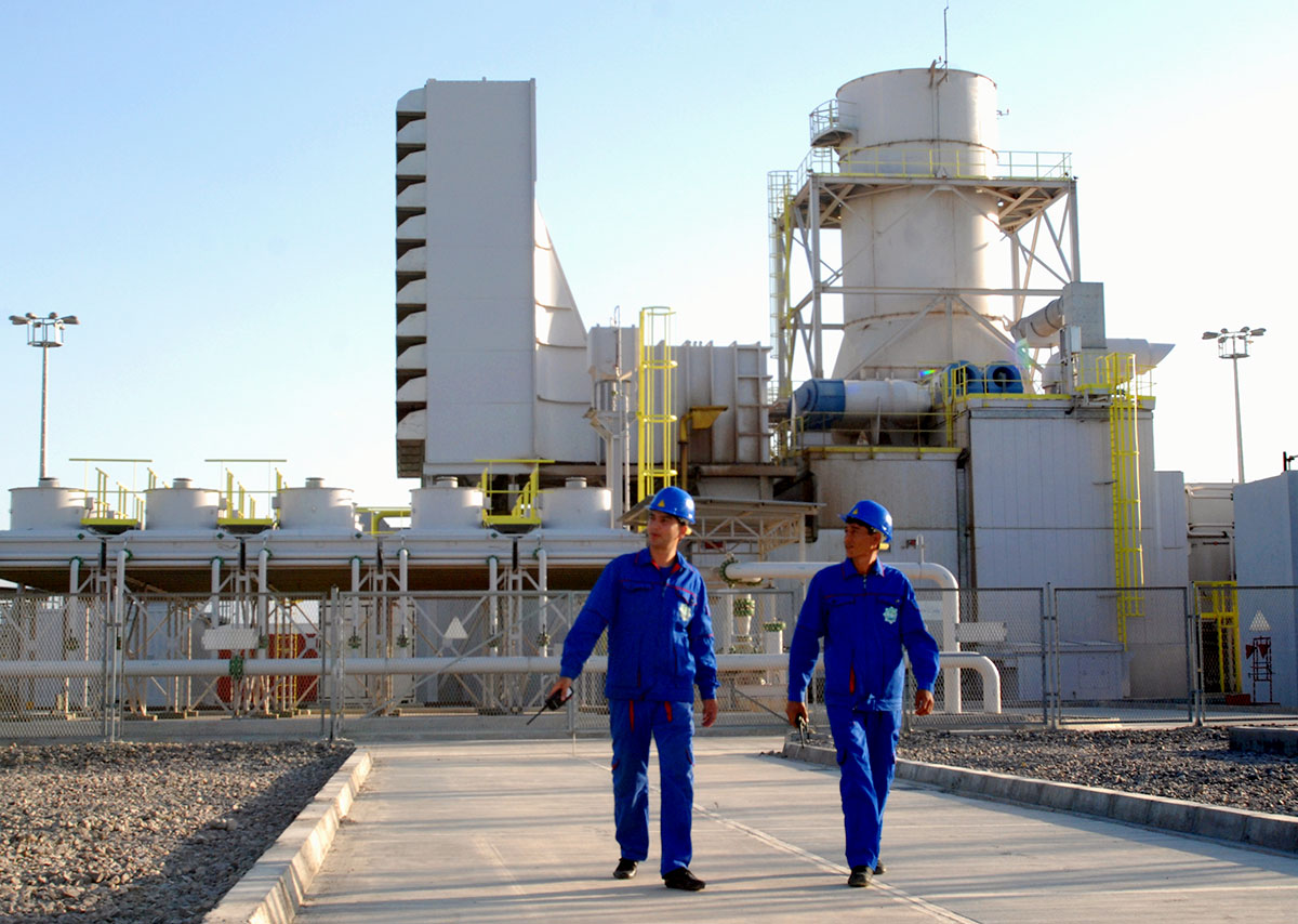 Kärine ussatlaryň bäsleşigi