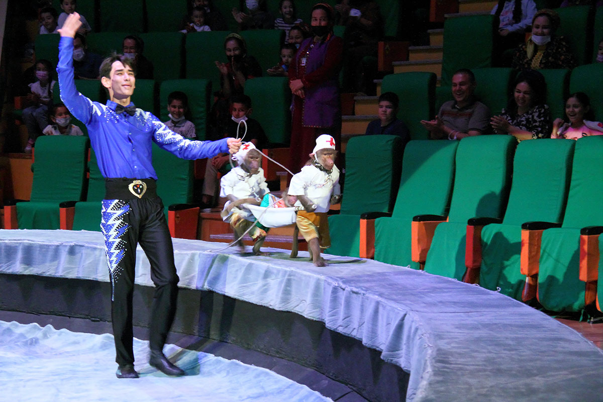 Два часа счастья для тех, кто любит цирковое искусство