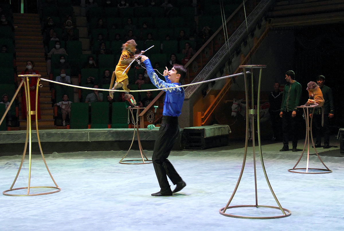 Два часа счастья для тех, кто любит цирковое искусство