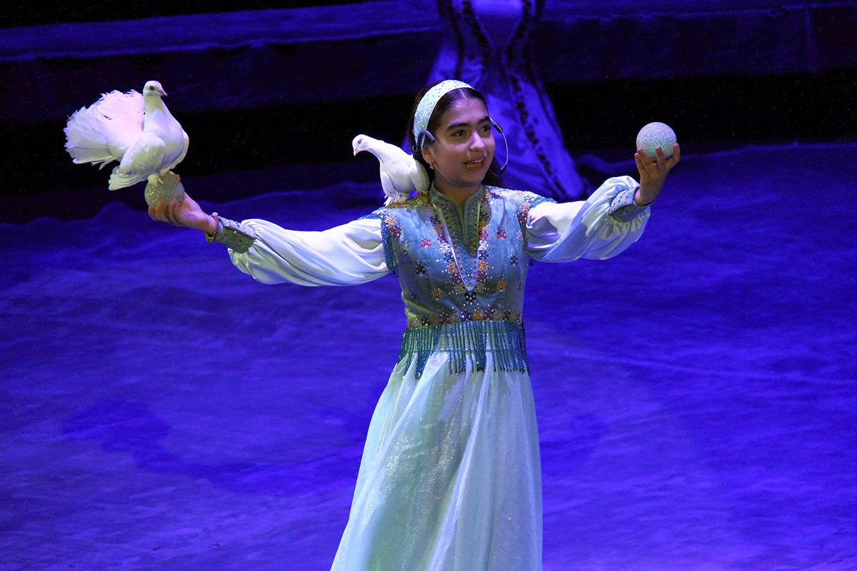 Два часа счастья для тех, кто любит цирковое искусство