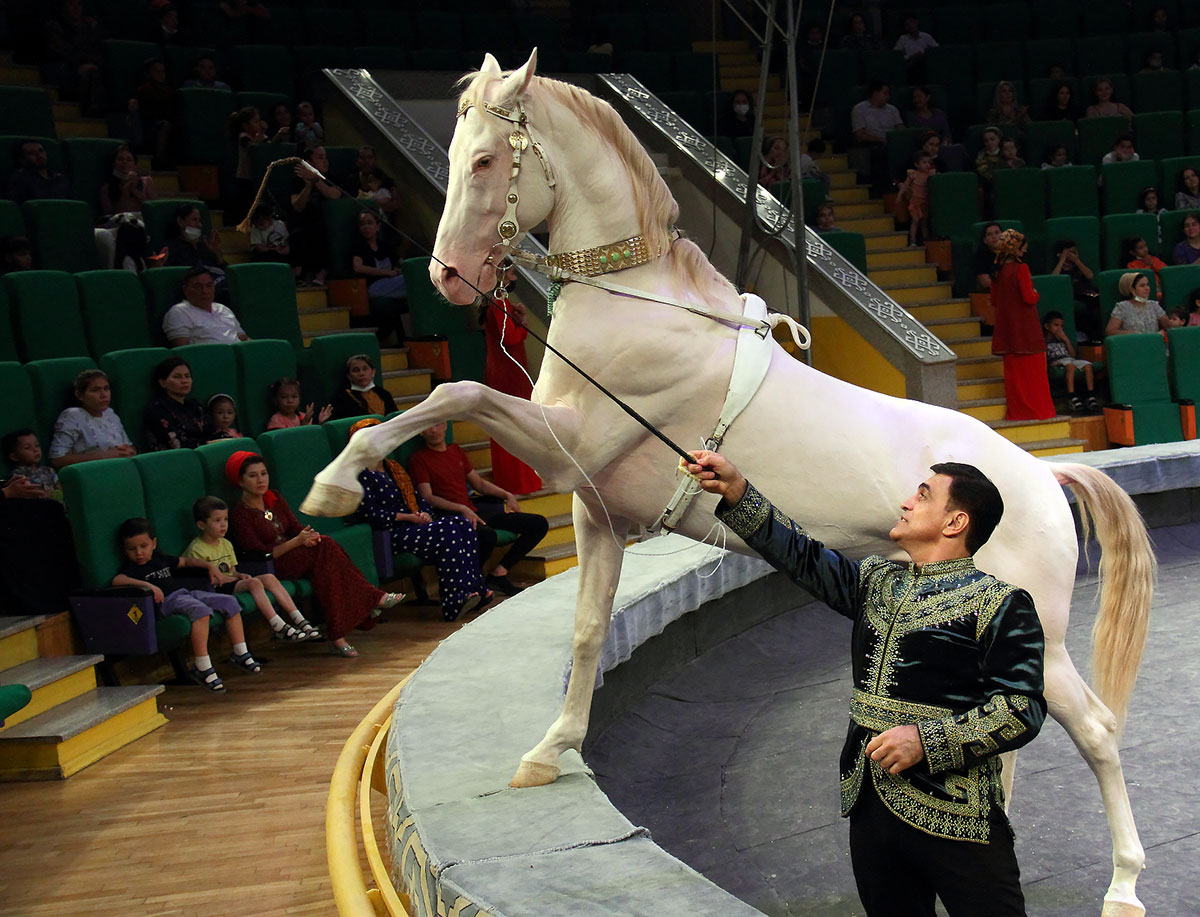 Два часа счастья для тех, кто любит цирковое искусство