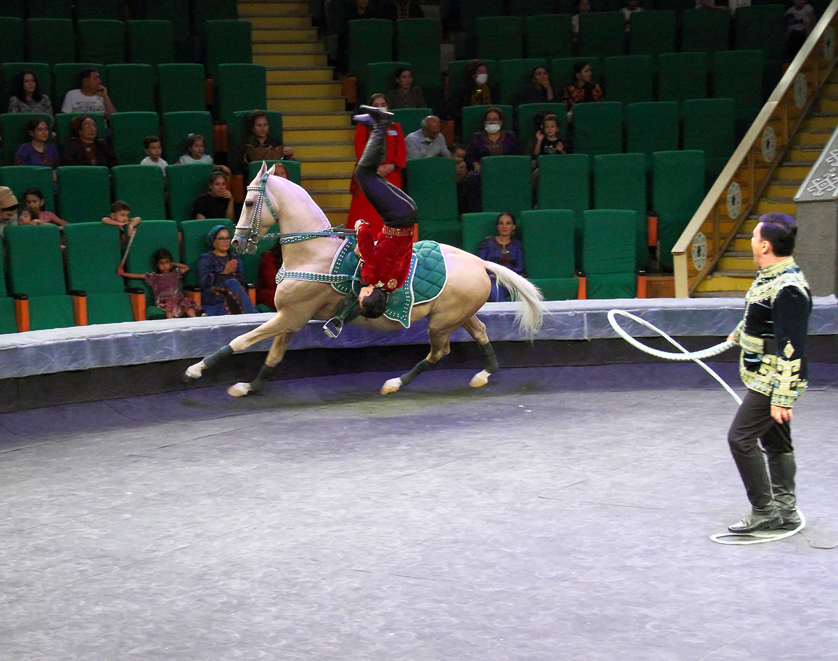 Два часа счастья для тех, кто любит цирковое искусство