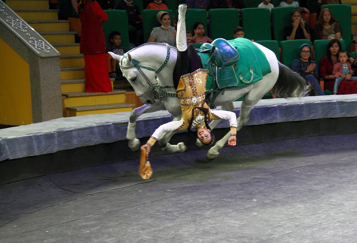 Два часа счастья для тех, кто любит цирковое искусство
