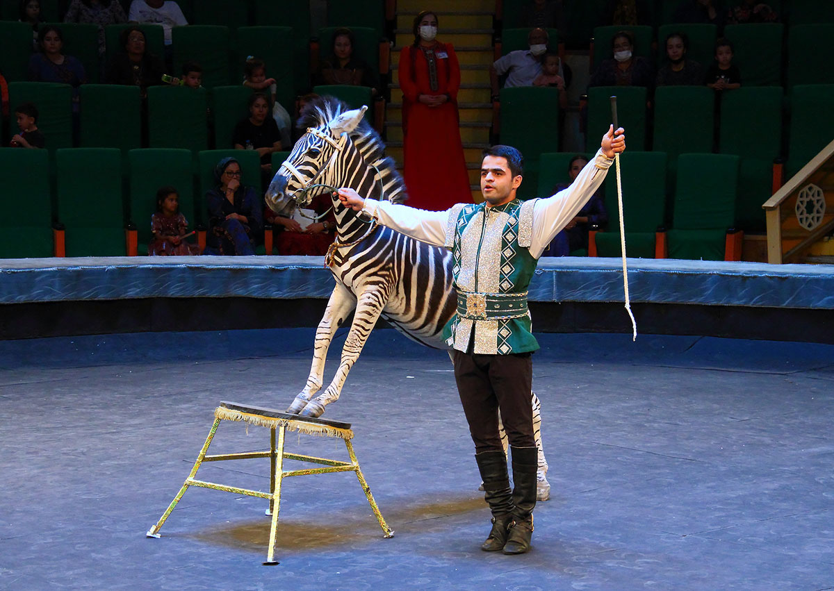 Два часа счастья для тех, кто любит цирковое искусство