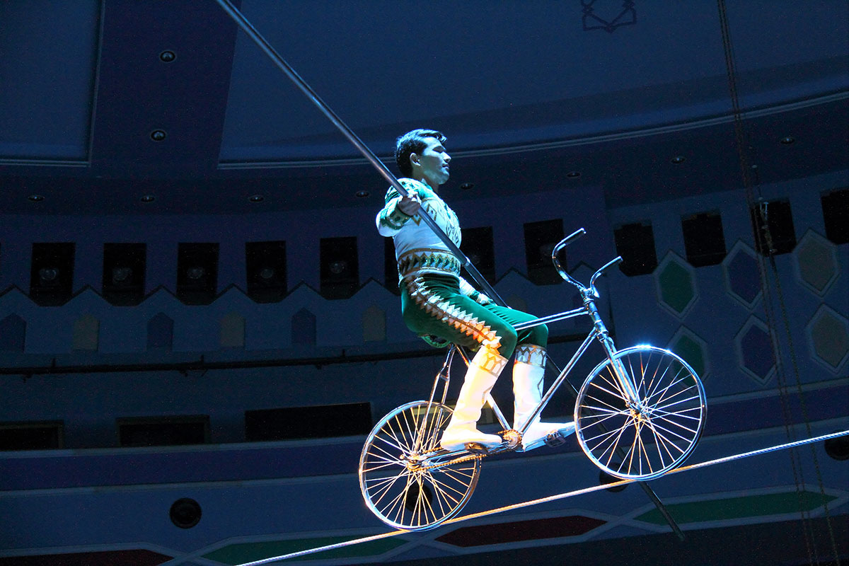 Два часа счастья для тех, кто любит цирковое искусство