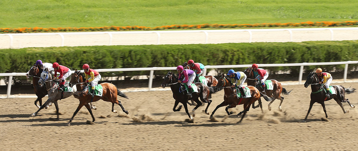 Türkmenistanyň Prezidenti Halkara ahalteke atçylyk sport toplumyndaky dabaralara gatnaşdy