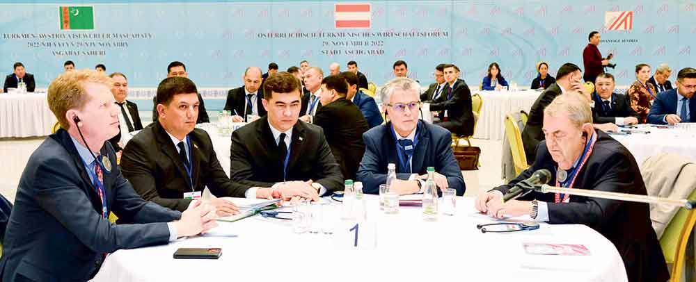Meeting of the Joint Turkmen-Austrian Commission