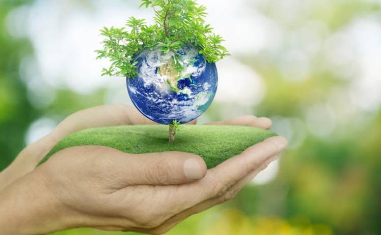 Международный конкурс к Всемирному дню окружающей среды приглашает участников