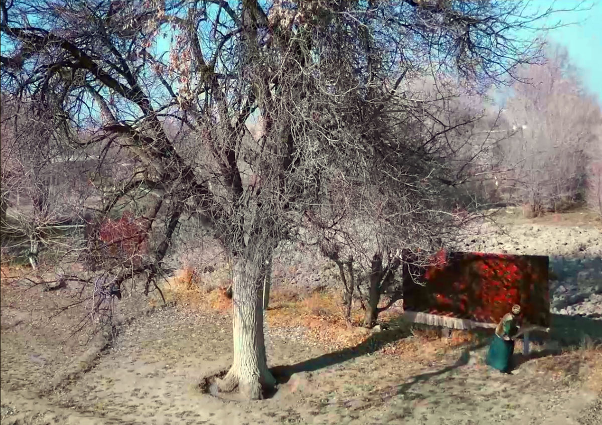 Türkmenistanda «Daragt» filmi ekrana çykdy