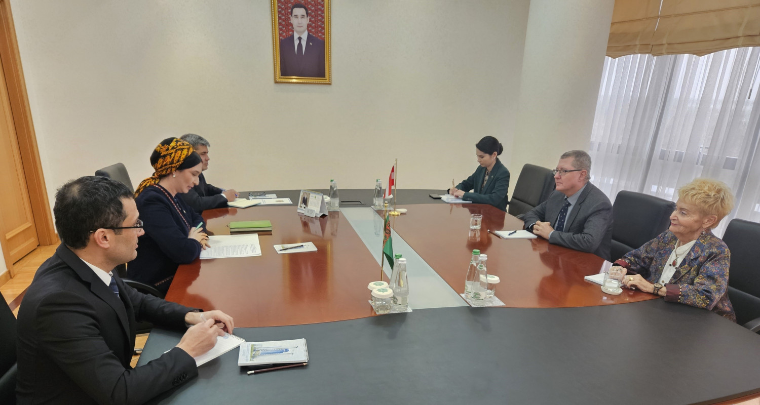 The state of Turkmen-Austrian relations was discussed at the Ministry of Foreign Affairs of Turkmenistan