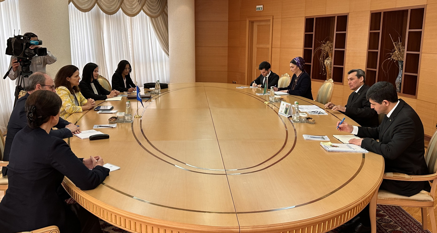 Встреча руководителя МИД Туркменистана с Региональным директором МОТ