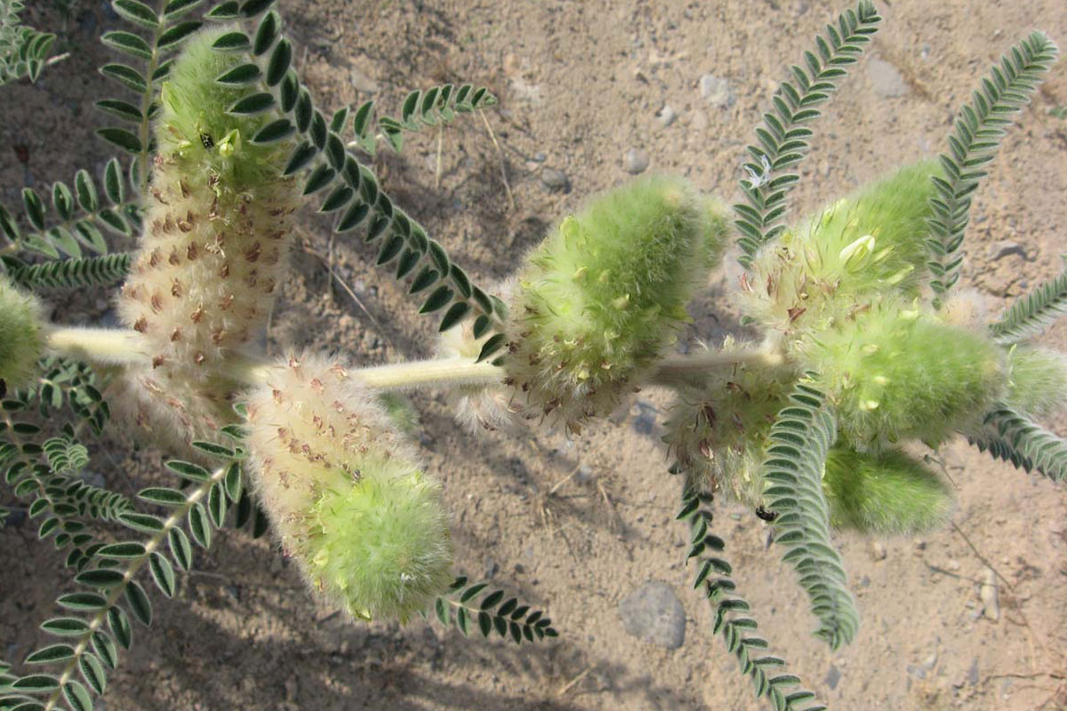 «Летопись природы-2023»: заповедники отчитались о проводимой работе