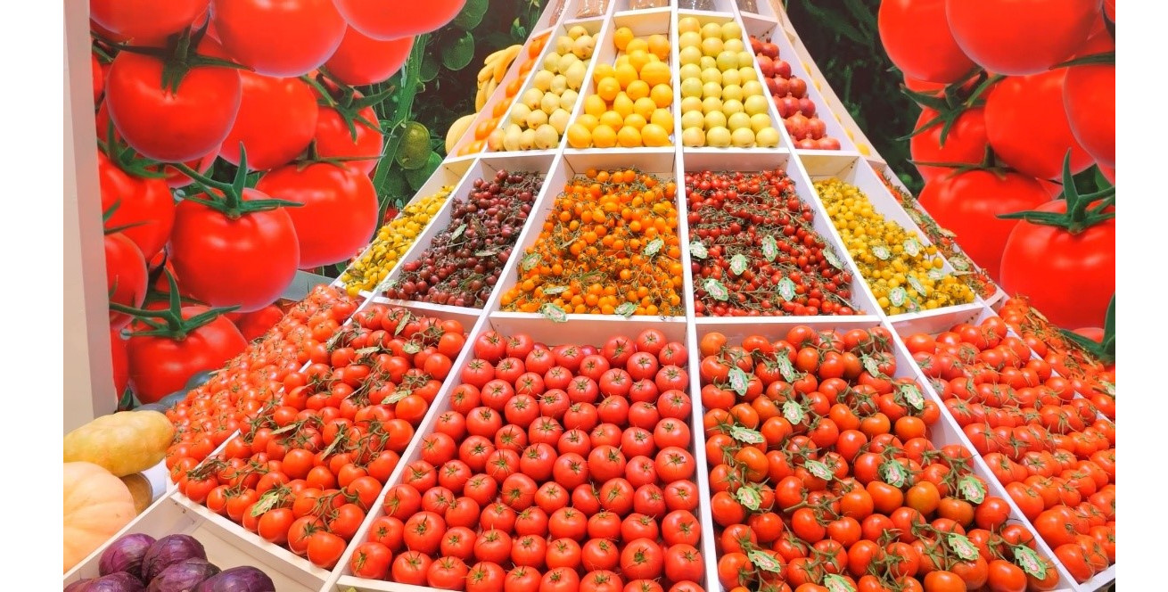 2024-nji ýylyň başyndan bäri eksporta çykarylan pomidoryň möçberi 3% ýokarlandy