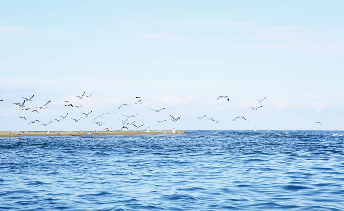 Turkmenistan develops international cooperation to protect the marine environment