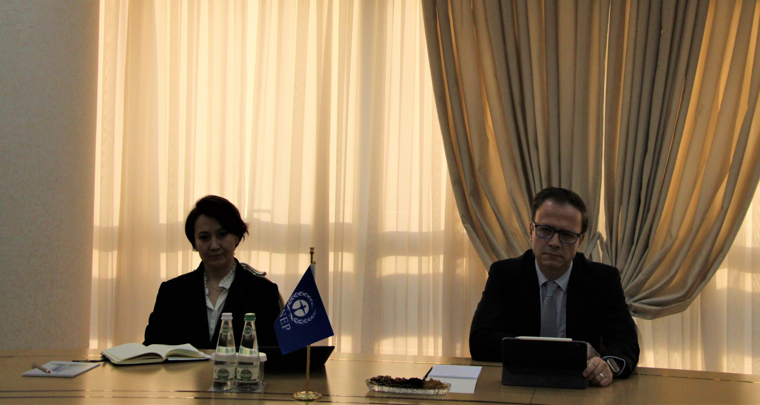 Туркменистан привержен сотрудничеству с Программой ООН по окружающей среде