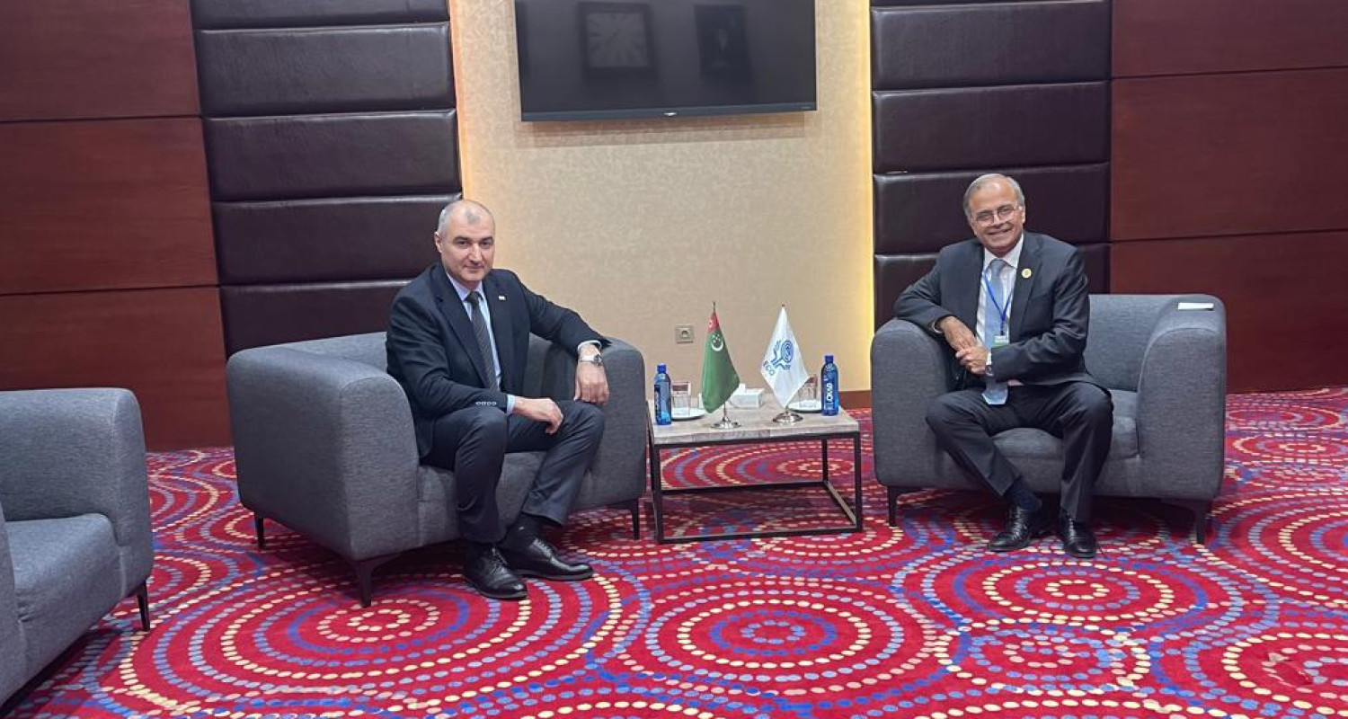 Об участии делегации Туркменистана в 28-ом заседании Совета министров Организации экономического сотрудничества