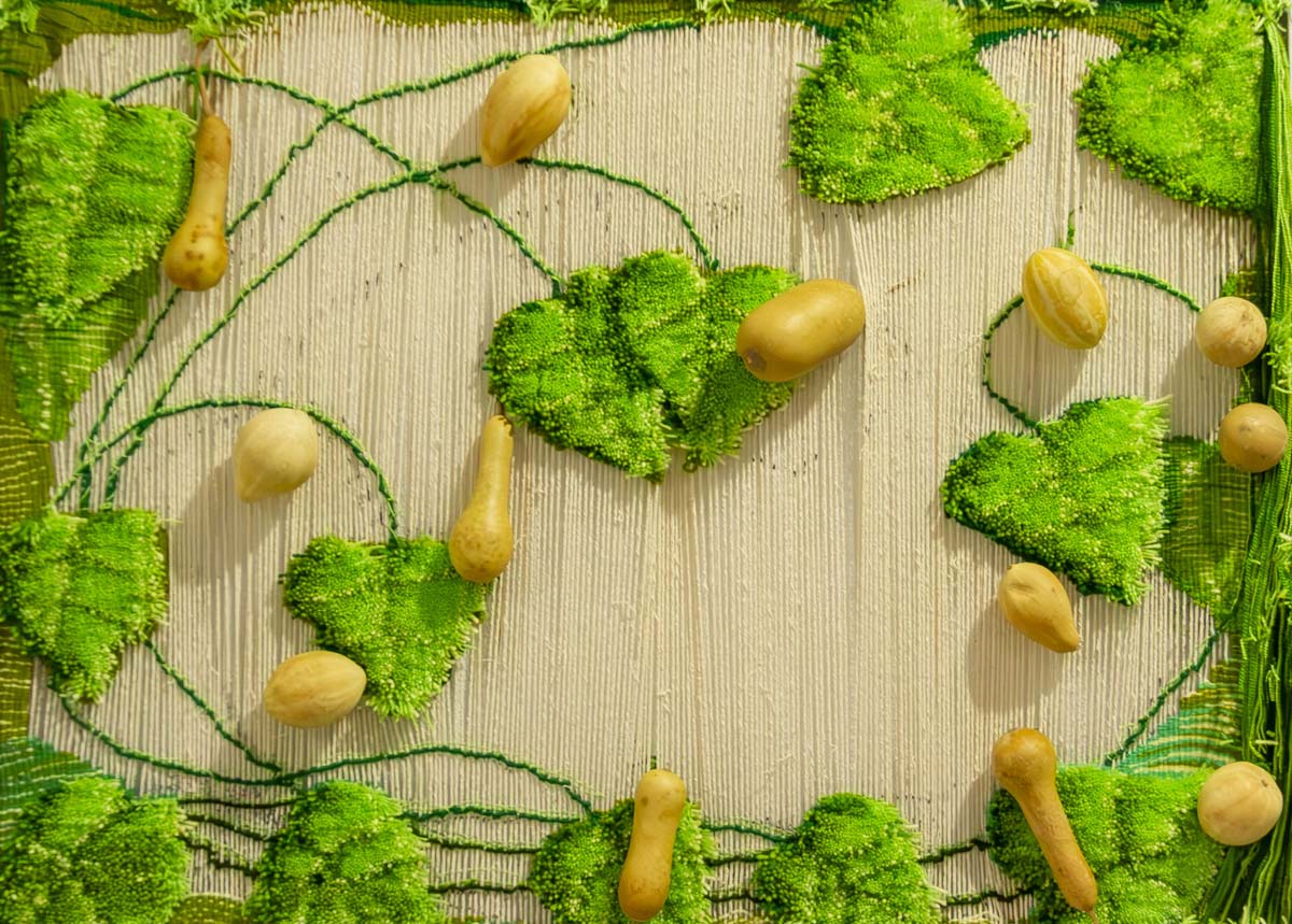 An exhibition of visual art works, created by women, has opened