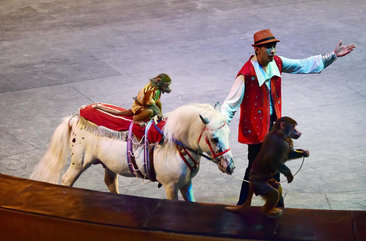 The "Galkynysh" group on tour in the Lebap velayat