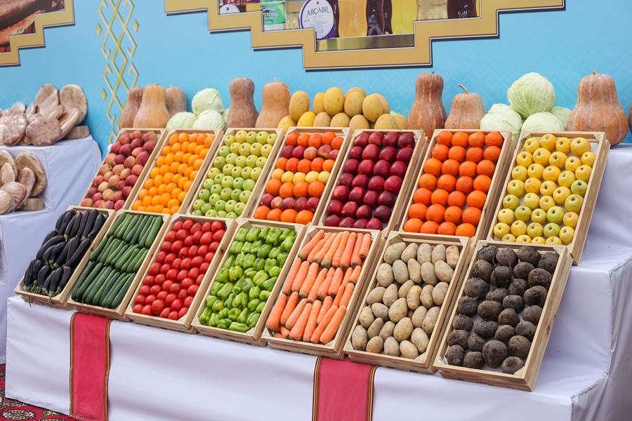 Türkmenistanda gowaça ekişine girişildi