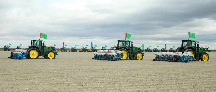 Türkmenistanda gowaça ekişine girişildi